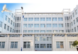 威建泊于職業(yè)中專學(xué)校